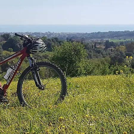 B&B Agora A 2 Minuti Dalla Valle Dei Templi E 5 Minuti Dal Mare 3* Agrigento